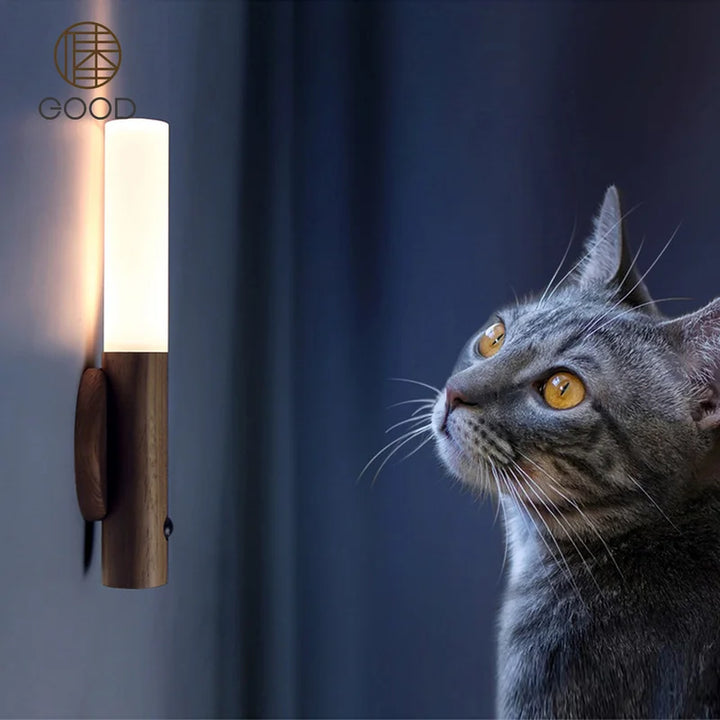 USB Rechargeable LED Motion Sensor Wall Light - Gadgetifyy